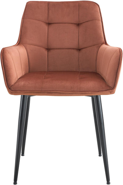 2 stoelen set woonkamer velvet met armleuning - meerdere kleuren