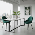 2 eetkamerstoelen set comfortabel velours met zwarte metalen poten - meerdere kleuren