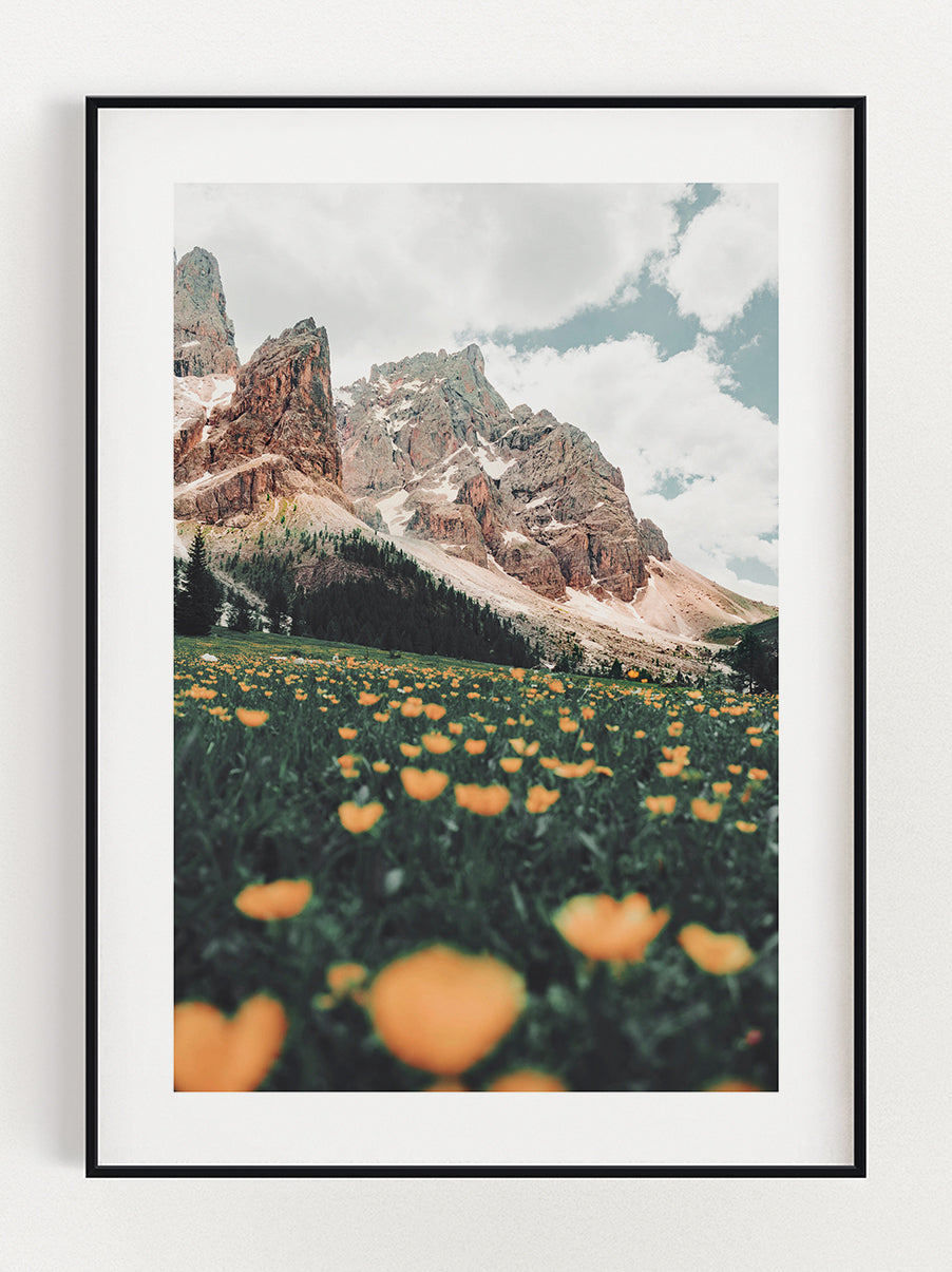 Flowers In The Mountains premium poster