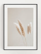 Reed premium poster