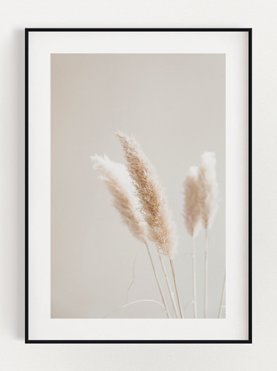 Reed premium poster