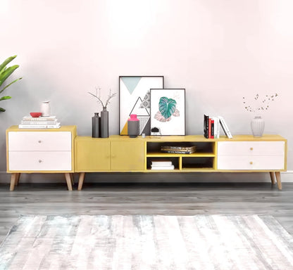 Two-Doors, Two-Drawers Wooden TV Cabinet-3