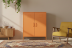 Design metalen kast 2-deurs - meerdere kleuren