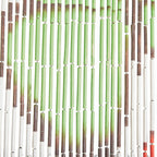 Gordijn van bamboe met vlinders design 90x200 cm - wit met kleuren patroon
