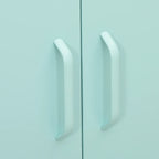 Design metalen kast 2-deurs - meerdere kleuren
