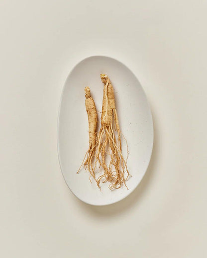 Beauty of Joseon - Ginseng hydraterend zon serum SPF 50+ PA++++